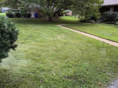 Lawn Care service in Gaithersburg, 20877