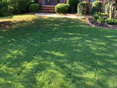 Lawn Care service in Bluefield, 24701