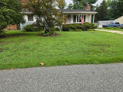 Lawn Care service in Medford, 08055