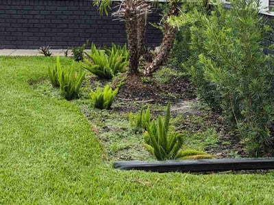 Lawn Care service in Garden Grove, 92843