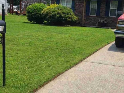 Lawn Care service in Calexico, 92231