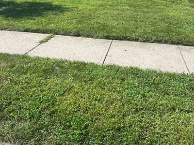 Lawn Care service in Mount Holly, 08060