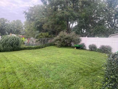 Lawn Care service in Waldorf, 20603