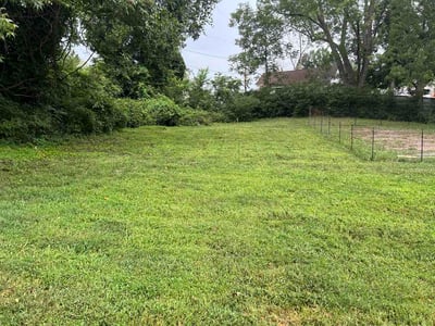 Lawn Care service in Reidsville, 27320