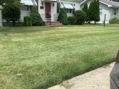 Lawn Care service in Mount Holly, 08060