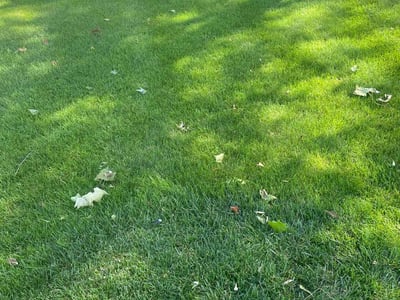 Lawn Care service in Downers Grove, 60515