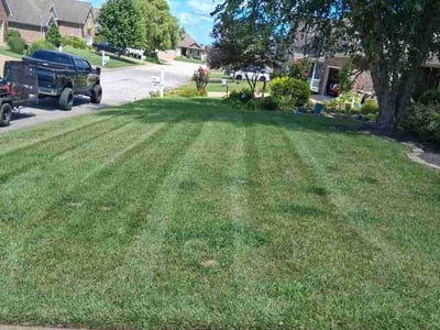 Lawn Care service in Corydon, 42406