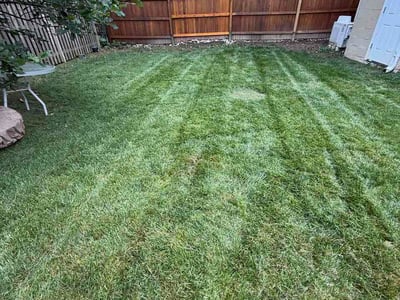 Lawn Care service in Centreville, 20120