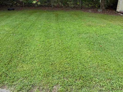 Lawn Care service in Jamestown, 27282