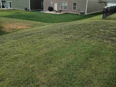 Lawn Care service in Murfreesboro, 37129