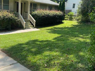Lawn Care service in Napa, 94559