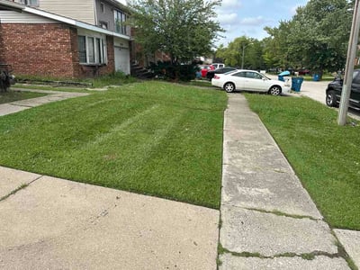 Lawn Care service in Carol Stream, 60188