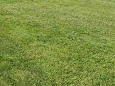 Lawn Care service in Marshfield, 65706