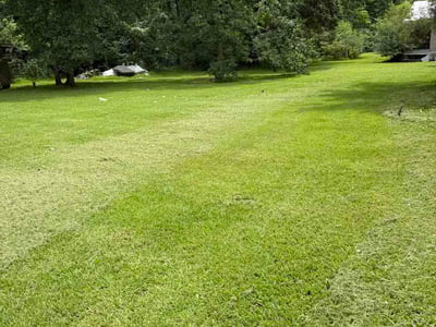 Lawn Care service in Walker, 70785