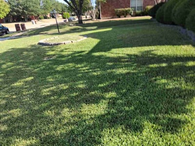 Lawn Care service in Westminster, 92683