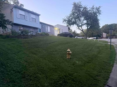 Lawn Care service in Independence, 41051