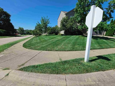 Lawn Care service in Independence, 41051