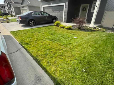 Lawn Care service in Cheney, 99004