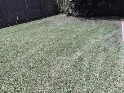 Lawn Care service in Cookeville, 38501