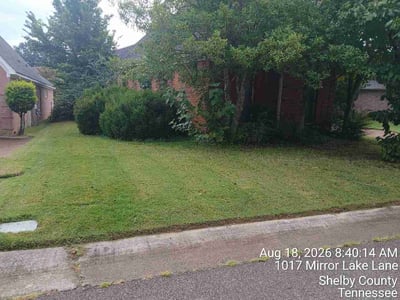 Lawn Care service in Cookeville, 38501