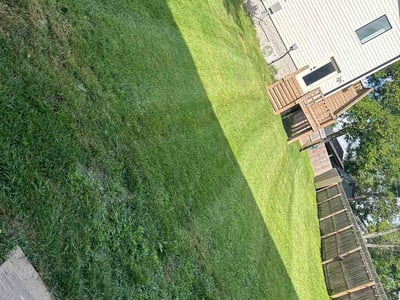 Lawn Care service in Hermitage, 37076