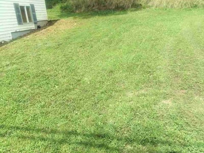 Lawn Care service in Beckley, 25813
