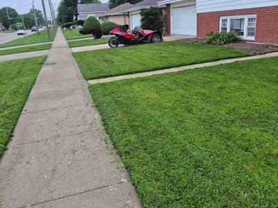 Lawn Care service in South Holland, 60473