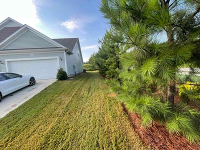 Lawn Care service in Rock Hill, 29730