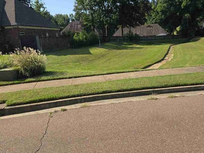 Lawn Care service in Arlington, 38002
