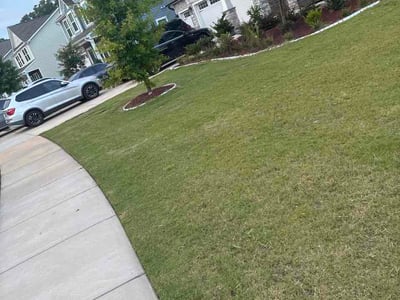 Lawn Care service in York, 29745