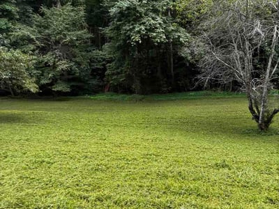 Lawn Care service in York, 29745