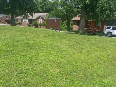 Lawn Care service in Ashland City, 37015