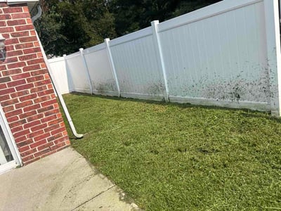 Lawn Care service in Staunton, 24401