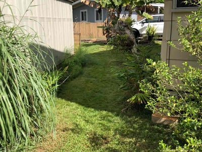 Lawn Care service in Fair Oaks, 95628