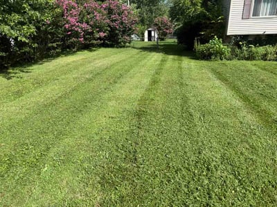 Lawn Care service in Erlanger, 41018