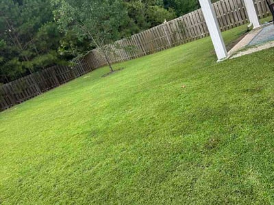 Lawn Care service in Augusta, 30904