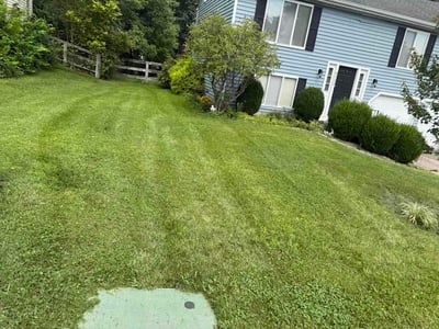 Lawn Care service in Erlanger, 41018