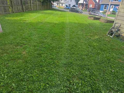 Lawn Care service in Erlanger, 41018