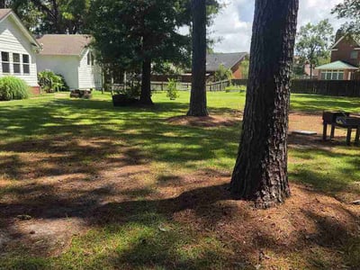 Lawn Care service in London, 40741