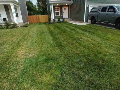 Lawn Care service in Sevierville, 37862
