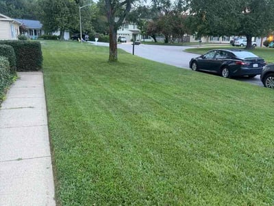 Lawn Care service in Harrisonburg, 22802