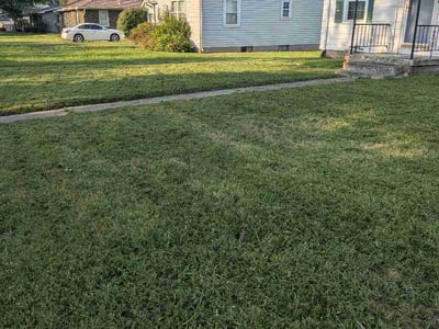 Lawn Care service in Belleville, 62220