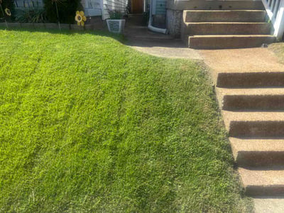 Lawn Care service in Washington, 63090