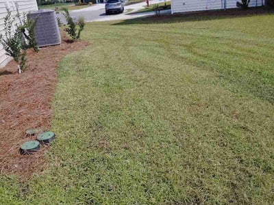 Lawn Care service in Longs, 29568