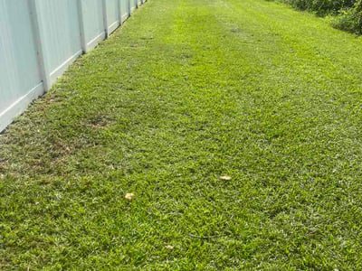 Lawn Care service in Longs, 29568