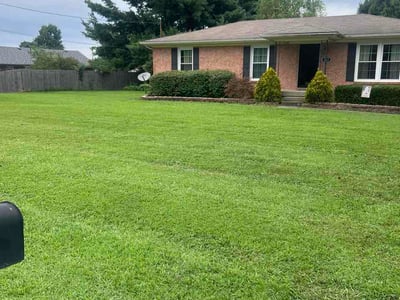 Lawn Care service in Mount Washington, 40047