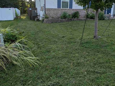 Lawn Care service in Collinsville, 62234