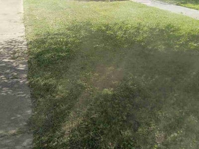 Lawn Care service in Mount Washington, 40047