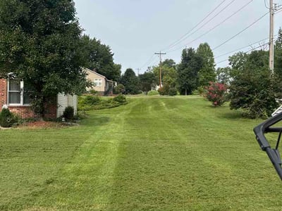 Lawn Care service in O Fallon, 62269