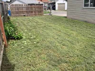 Lawn Care service in O Fallon, 62269